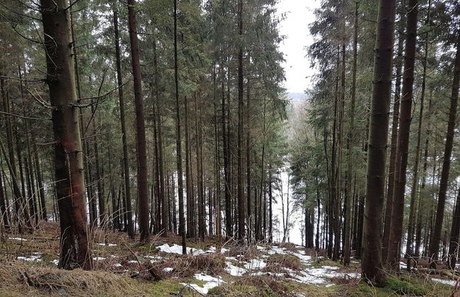 Apartment mit Balkon Nahe am Erlebnisberg Kappe - Foto 31