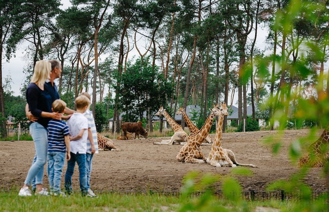 Safari Resort Beekse Bergen - Foto 57