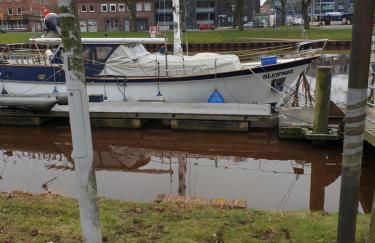 Maje Am alten Binnenhafen - Foto 23