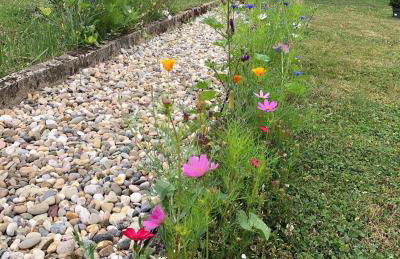 Tiny House mit Saunafass und Garten - Foto 20