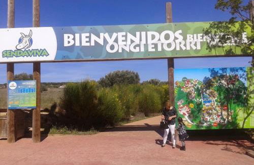 Ático Entero con Habitación en Corella - Foto 42