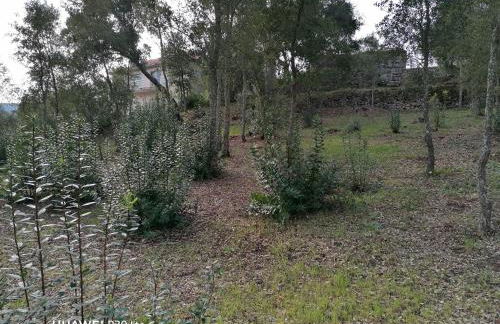 Casa Douro Terrace - Foto 39