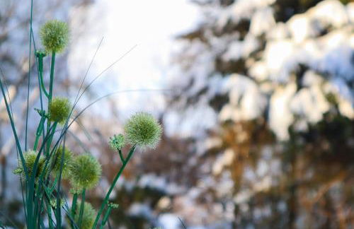 Appartement Sels - Foto 8