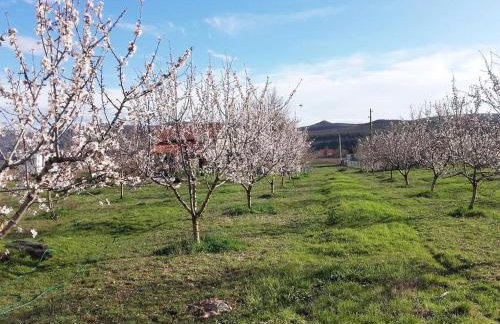 STONE HOUSE VLASTA - Foto 19