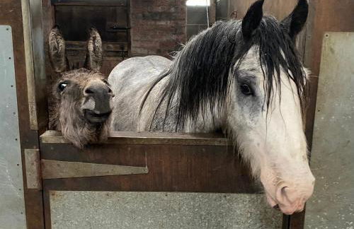 Holywell Grange Farm - Foto 1