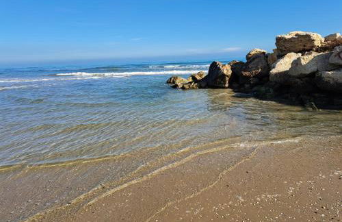 Bassa Marea - Foto 56