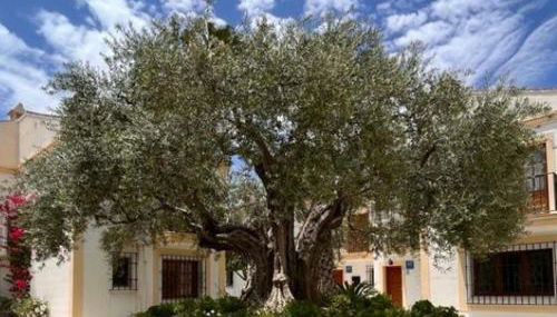 MI COSTA VERA-PLAYA 200m, dos balcones hermosa vista! - Foto 5