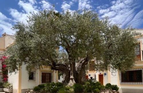 MI COSTA VERA-PLAYA 200m, dos balcones hermosa vista! - Foto 5