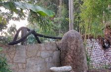 Ático Musical - Foto 17