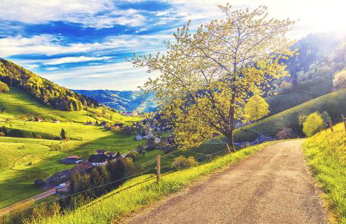 Abnoba Mons Design Apartment Lenzkirch - Photo 15