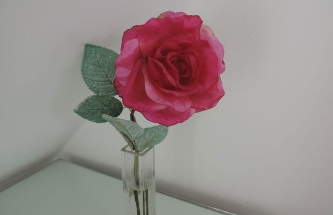 Sea Breeze Apartment Near the Eden Project - Foto 13