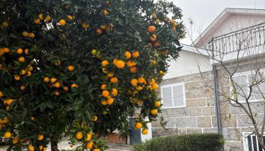 Souto Guimarães Country House - Foto 5