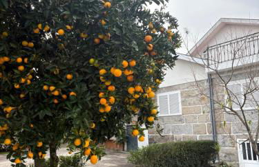 Souto Guimarães Country House - Foto 5