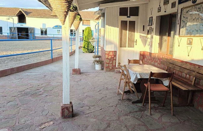 ESCUS HORSES - Foto 1