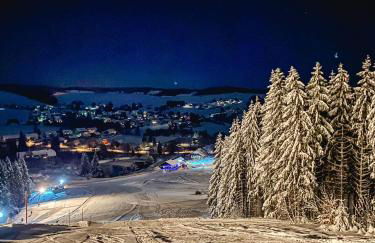 Ferienwohnungen Am Skilift - Foto 77