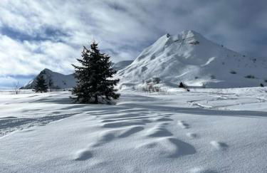 Grand Duplex Lumineux - 3 chambres - Photo 50