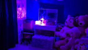 The Escape - Photo 5