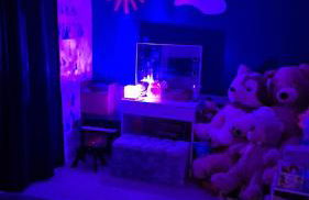 The Escape - Photo 7