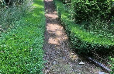 Unique Orchard Lodge for couples with hot tub - Photo 42