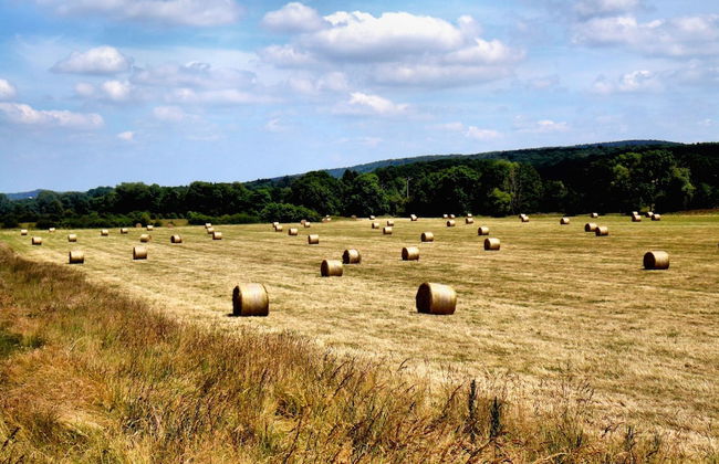 Luxurious Chalet in Beauraing With Sauna - Foto 39