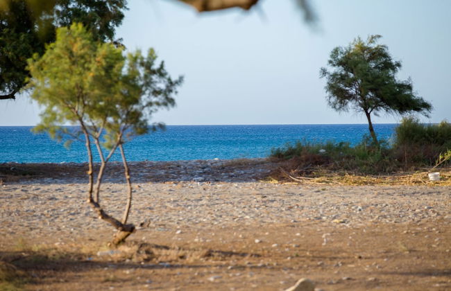 Aadonis Villa - Foto 50