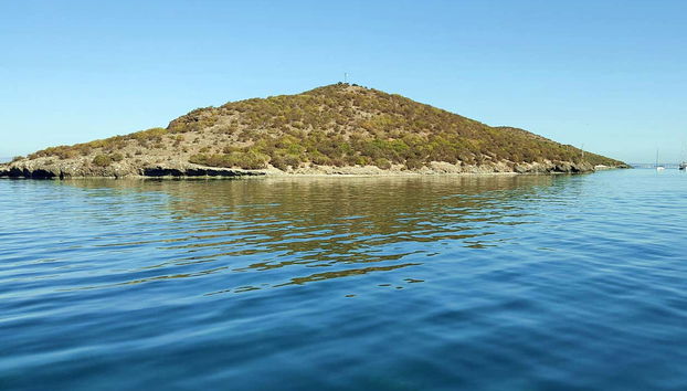 Balade en bateau sur la Mar Menor - Foto 5, Île Perdiguera