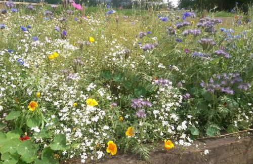 Stargazing lodge with amazing views. - Photo 16