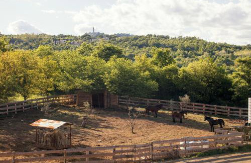 Villa Vesna with sauna, hot tub - Foto 27