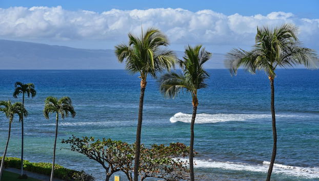 Kaanapali Shores 403 - Foto 2, Habitación