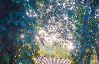 Chalé 03 Itaipu Vale da Colina Niterói - Photo 55