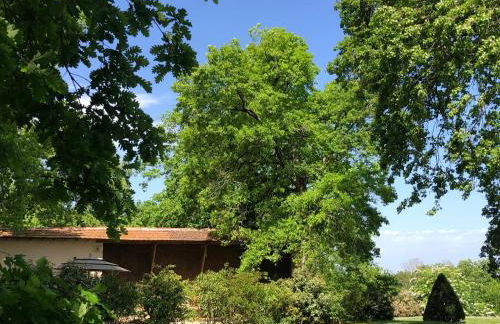 Le Buscagneau - Photo 13