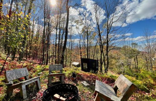 Fireplace Catskill Views Overlook Lake Cabin - Foto 62