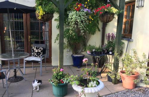 The Lavender Room - Photo 9