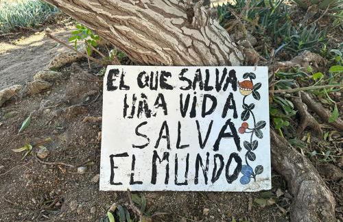 Oceanicjaca - Foto 19