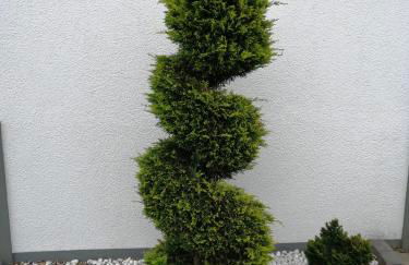 Ferienwohnung Blumenparadies - Foto 18