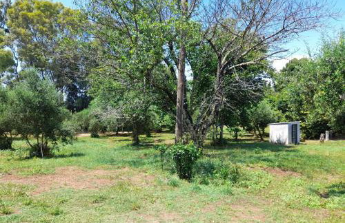 Lemontree Apartments - Foto 72