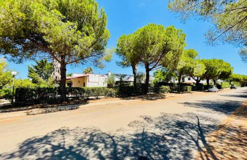 Villa Indipendente Torre Inserraglio - Salento - Foto 24