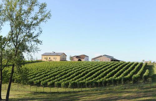 Pianderna Agriwellness - Photo 11