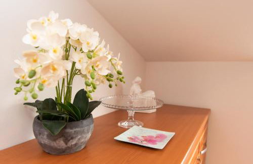 Apartments Andrijana - Foto 7