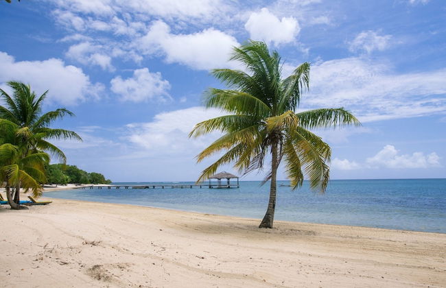 Laru Beya Palmetto Bay - Foto 52