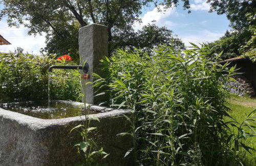 Tiny X im Marxhof Seebruck am Chiemsee - Photo 17