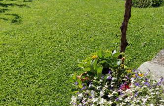 Apartment Drei-Zimmer-Wohnung La Mucca in Gignod by Interhome - Foto 18