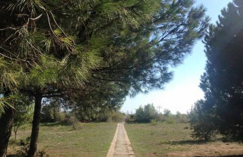 Jesolo Pineta - Appartamento Due Camere Matrimoniali Fronte Mare - Foto 12