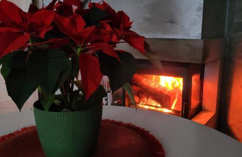 Tarasy Bieszkowice - Foto 43