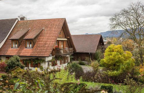 Apfelblüte - Foto 1