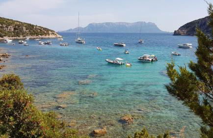 Residence Cala Moresca - Foto 4