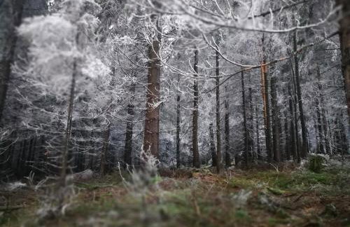 Dom Gościnny Zarembianka - Foto 68