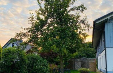 Das Blaue Haus Am Rothaarsteig - Photo 9