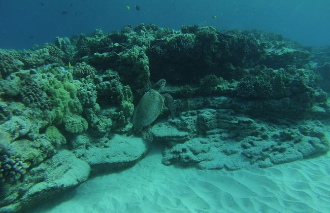 Maluhia Kahakai 2 Bedroom Condo by RedAwning - Foto 26