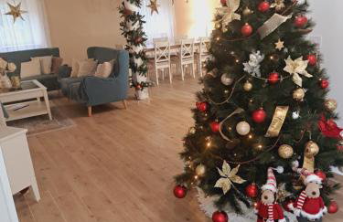 Villa Nikšić - Foto 8